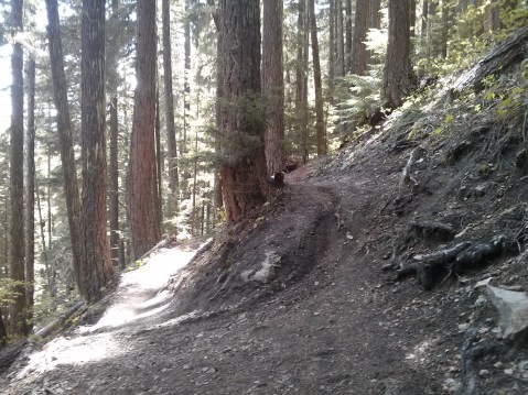Switchbacks galore!