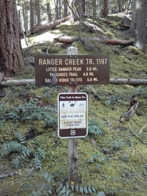 Ranger Creek TH